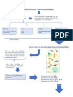 Patrones Moleculares Asociados A Patógenos