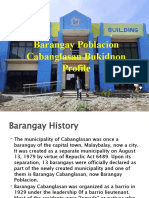 Barangay Poblacion Cabanglasan Bukidnon Profile