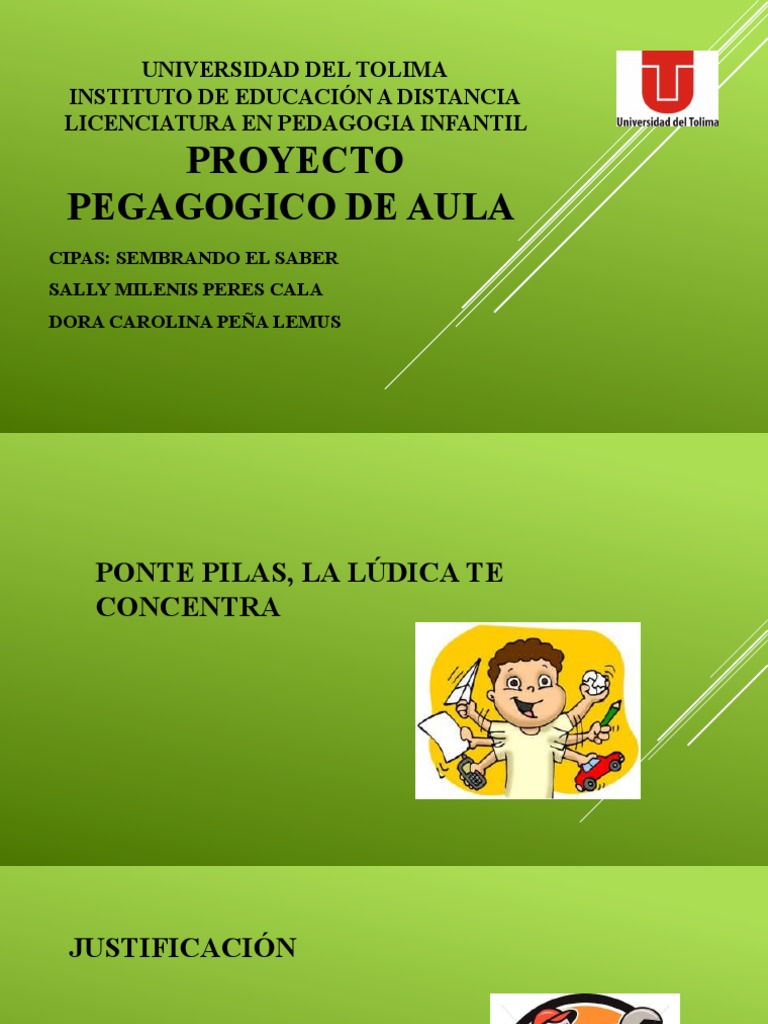 Proyecto de Aula Ppa | PDF | Salón de clases | Aprendizaje