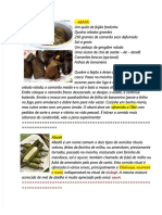 PDF Varias Comidas Dos Orixas DL