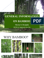 General Information On Bamboo and Things You Didn't Know