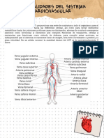 Generalidades Del Sistema Cardiovascular