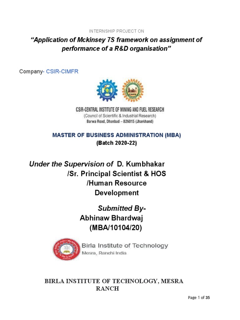 McKinsey 7s Framework 1 1 | PDF | Strategic Management | Mining