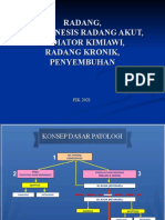 IDK 2 Mediator Dan Radang (01-03-2021)
