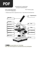 LAB EXERCISE 2 Microscope Ass