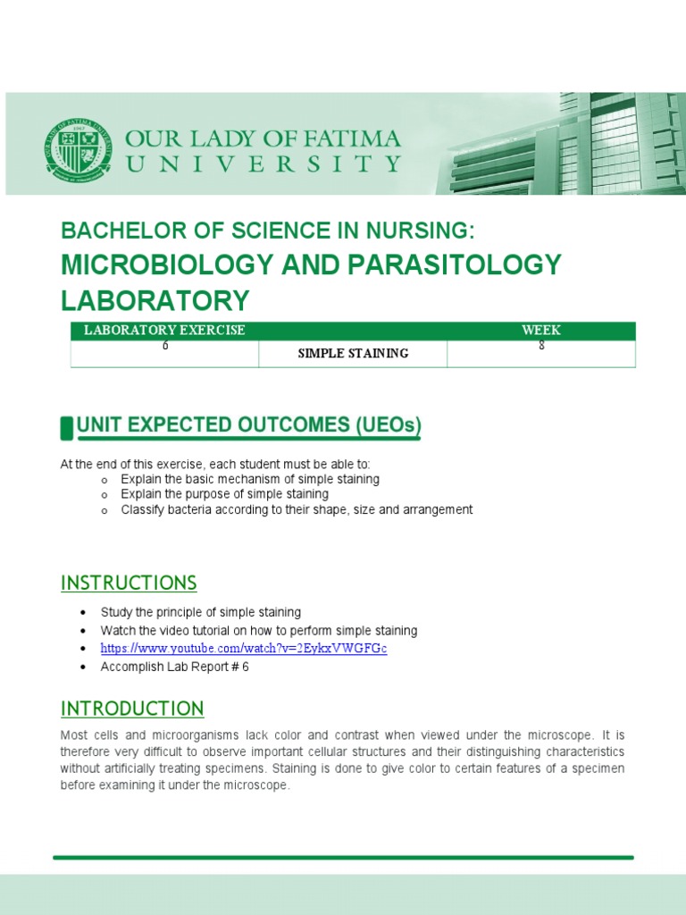 Lab Exercise 6 Simple Staining Pdf Staining Gram Positive Bacteria