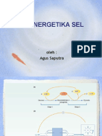 Biokimia Veteriner II Materi Bioenergetika