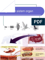 Organ Dan Sistem Organ