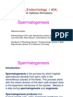 Spermatogenesis: Zoology, Endocrinology (404)