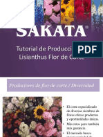 Tutorial de Produccion de Lisianthus Flor de Corte SAKATA 0818