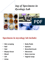 Processing of Specimens in Mycology Lab