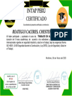 Certificado - Trabajos en Altura-Reategui Caceres-6350