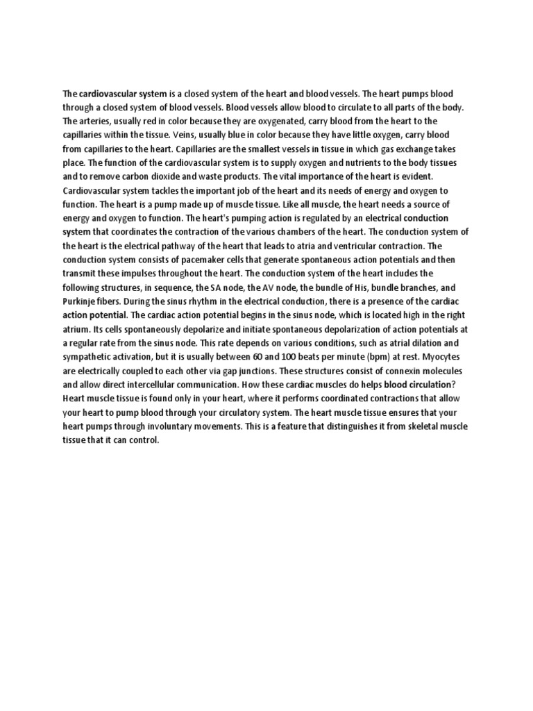Task 6 | PDF | Heart | Circulatory System