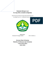 Muhammad Turangga Lazuarrdi 2004114160 Biologi Laut Moluska