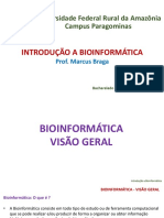 Slide 03 - Introdução a Bioinformática - Bioinformática - Visão Geral - pt. 01