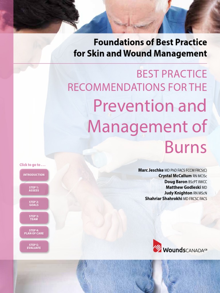 WC BPR - Prevention and Management of Burns 1791r3e Final | PDF | Burn ...