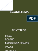 ECOSISTEMA