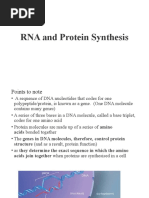 Protein Synthesis Notes and Diagram | PDF | Translation (Biology ...