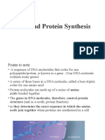 RNA and Protein Synthesis Explained