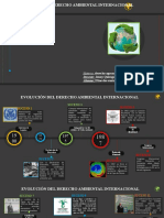 Linea de Tiempo - Derecho Ambiental