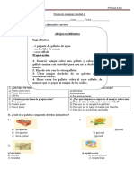 Prueba Unidad 3 Lenguaje Definitiva