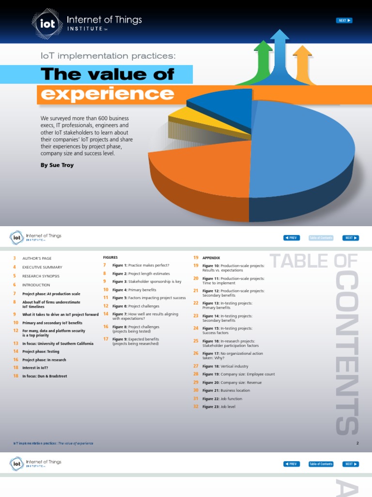 IoT Implementation Practices | PDF | Internet Of Things | Business