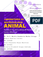Reporte 2 - Biotec Animal