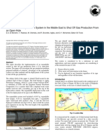 OTC 17273 First Use of An Expandable System in The Middle East To Shut Off Gas Production From An Open-Hole