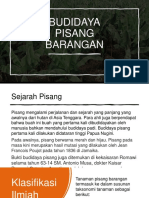 Budidaya Pisang Barangan