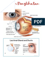 Mata Anatomi, Fisiologi, Pengkajian, Penyakit Umum1