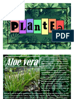 Plante A