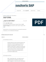 SAP EWA - Consultoría SAP Pasos