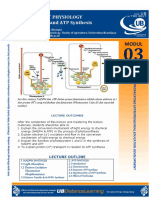 03Mod NADP ATP Synthesis 07 2018