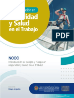 Nooc Introducción Al Peligro y El Riesgo en SST