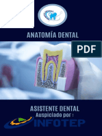 Guia Anatomía Dental
