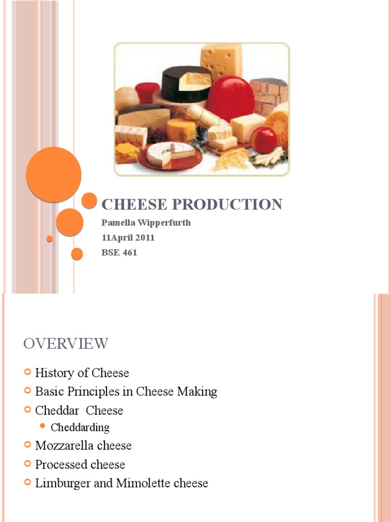 BSE 461 Cheese Production | PDF | Cheese | Cheesemaking