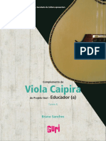 Complemento Educador Viola Caipira 2016