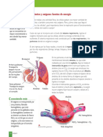 1.5 Nutrientes y Oxigeno