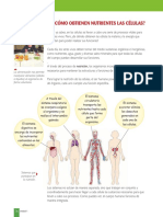 1.4 Nutricion Del Ser Humano