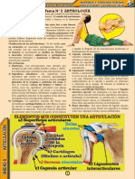 Texto de Anatomía y Fisiología Articulacion Dr. Carlos Mamani L.