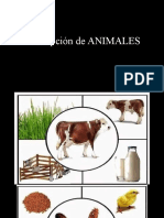 01 DESCRIPCIÓN de Animales