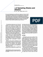 An Analysis of Hamstring Strains and Their Rehabilitation