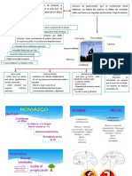 Noviazgo y Relaciones Prematrimoniales PDF