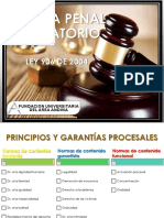 Diapositivas Conferencia Sistema Penal Acusatorio Semanas 5 y 6-6