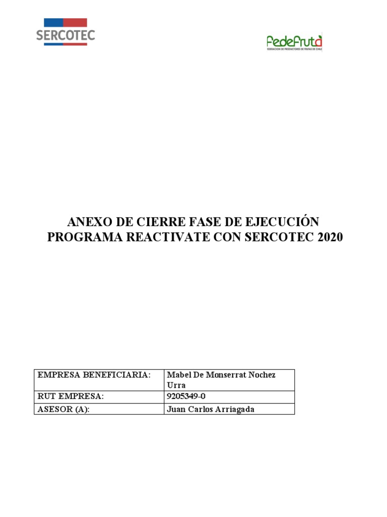Anexo Cierre Reactivate | PDF | Business | Economias