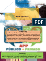 Asociacion Publica Privada