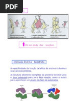 enzimas_interações