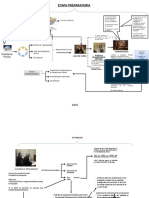 Diagrama-de-Flujo-Etapas-Proceso-Acción Constitucional