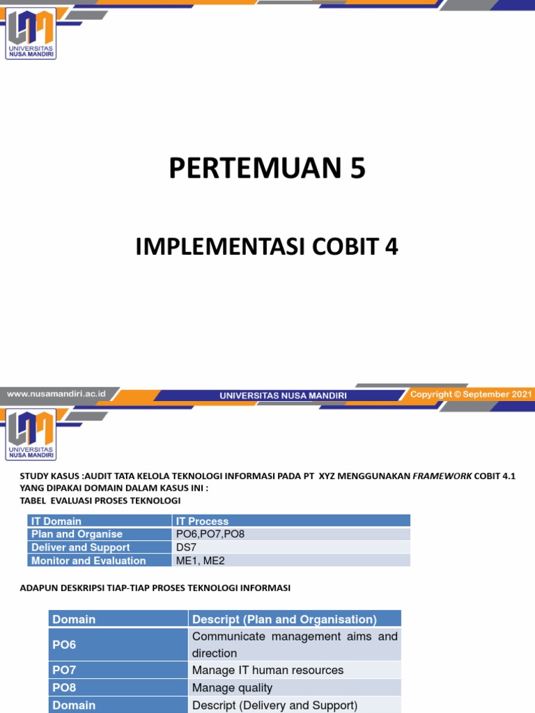 Audit Tata Kelola dengan COBIT 4.1 | PDF