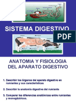 Digestivorumiantes